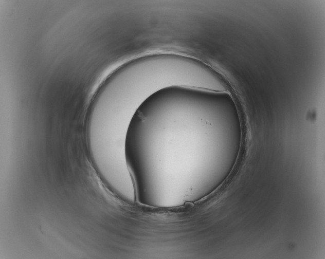 X0000113081272200909110955