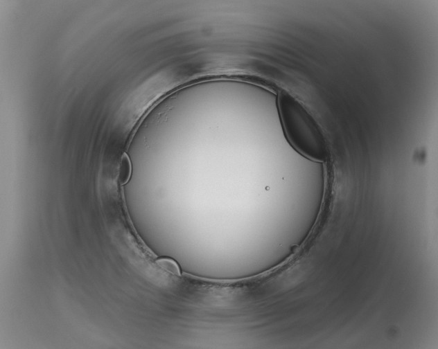 X0000113081273200909110955