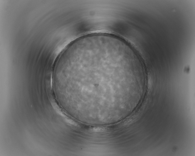 X0000113081274200909110955