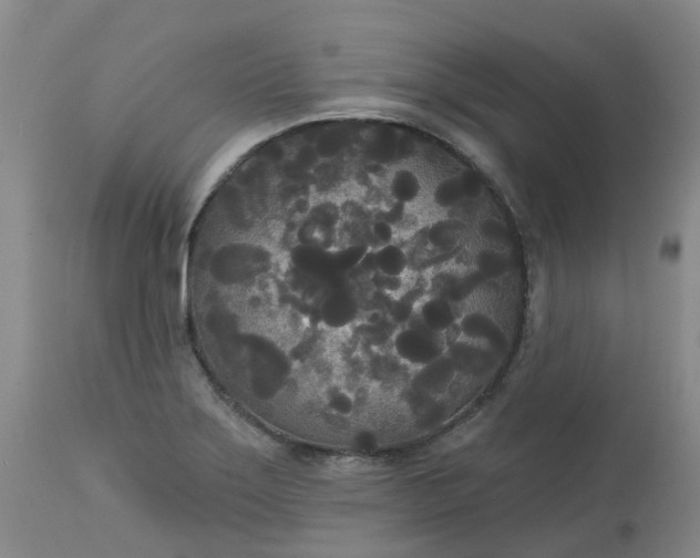 X0000113081275200909110955