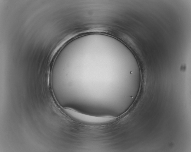 X0000113081276200909110955