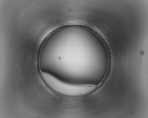 X0000113081277200909110955