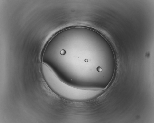 X0000113081280200909110955