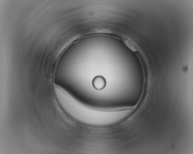 X0000113081281200909110955