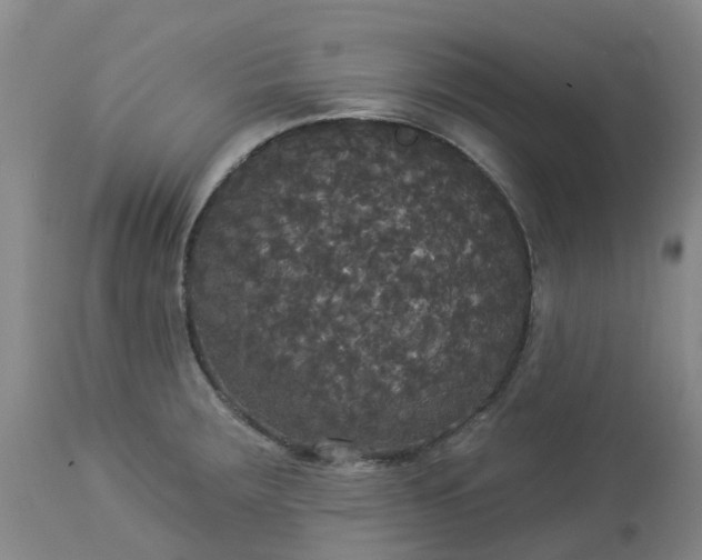 X0000113081283200909110955