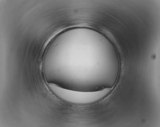 X0000113081284200909110955