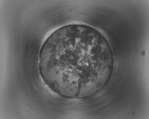 X0000113081287200909110955