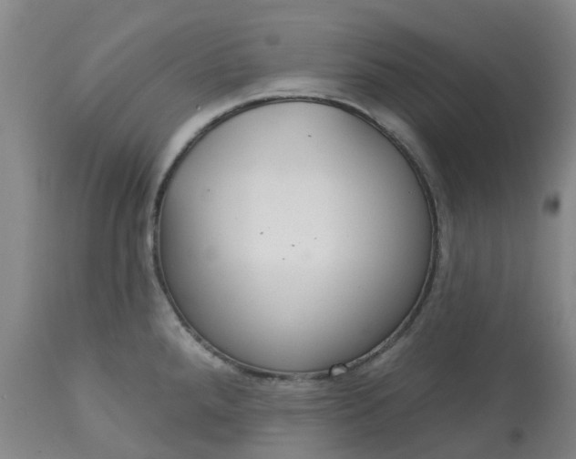 X0000113081288200909110955