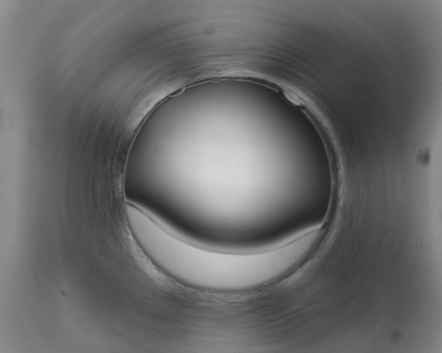 X0000113081289200909110955