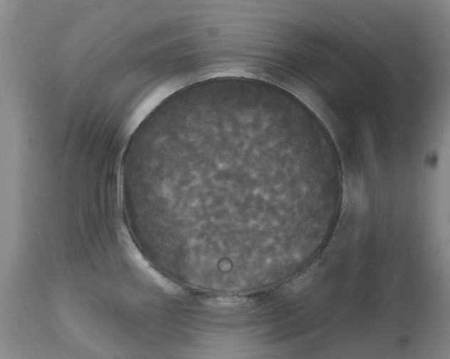 X0000113081290200909110955