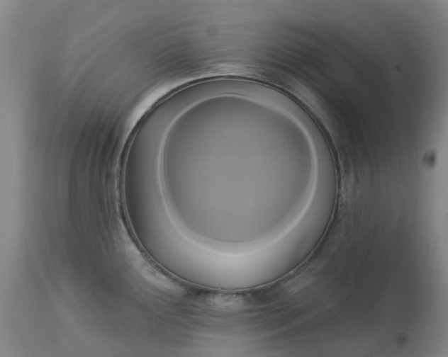 X0000113081291200909110955