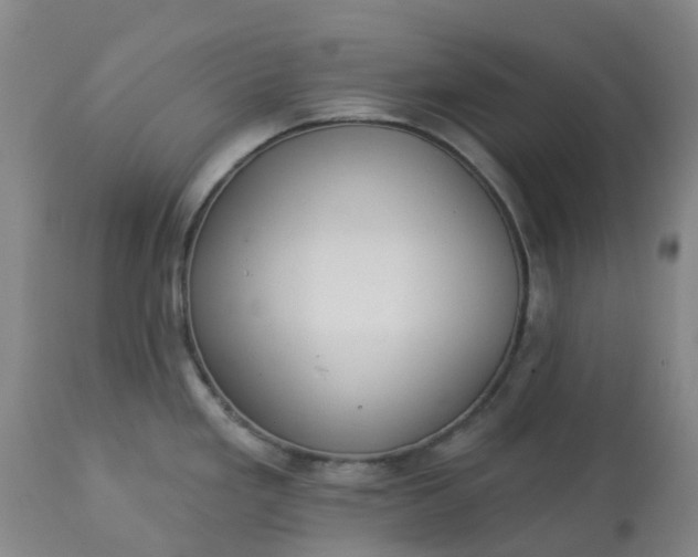 X0000113081293200909110955