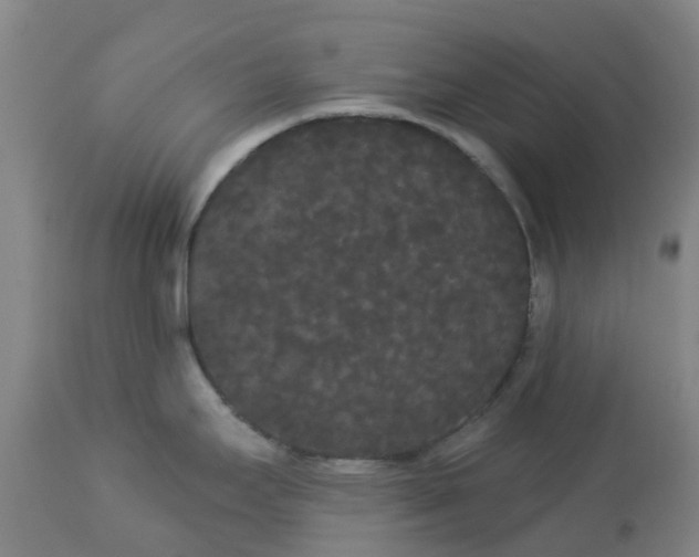 X0000113081295200909110955