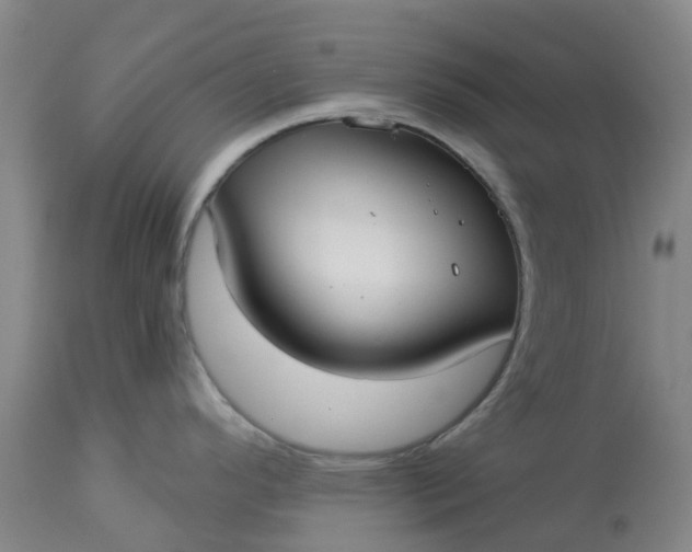 X0000113081296200909110955