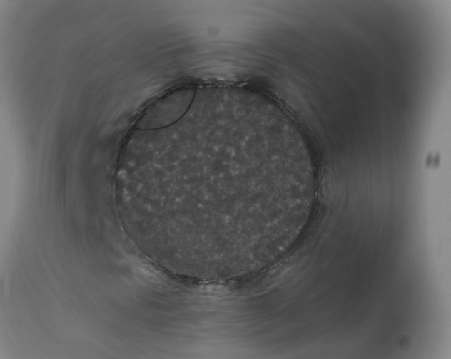 X0000113081297200909110954