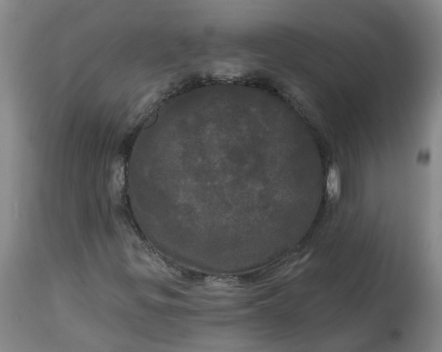 X0000113081299200909110954