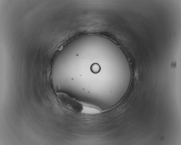 X0000113081300200909110954