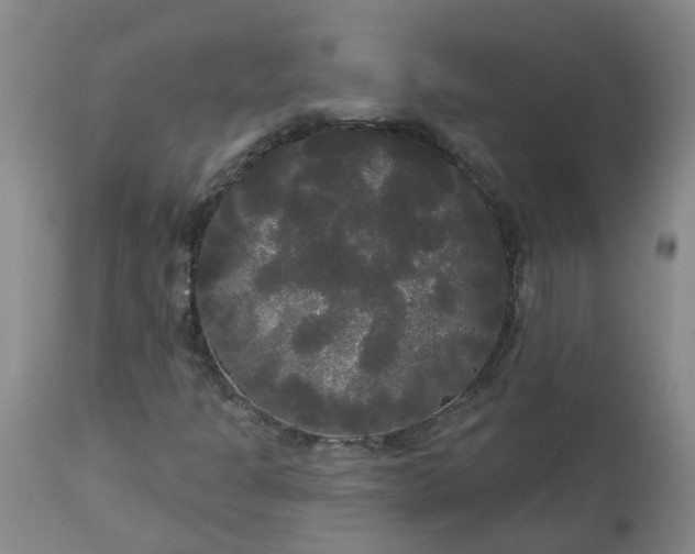 X0000113081301200909110954