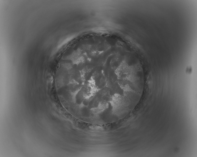 X0000113081302200909110954