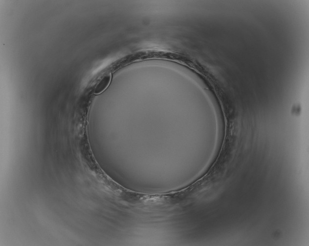 X0000113081303200909110954