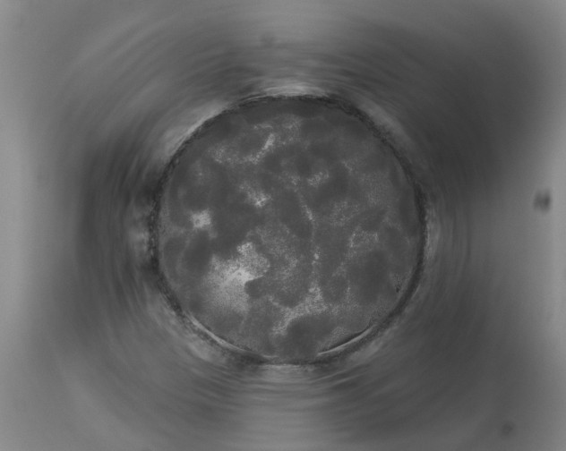 X0000113081305200909110954