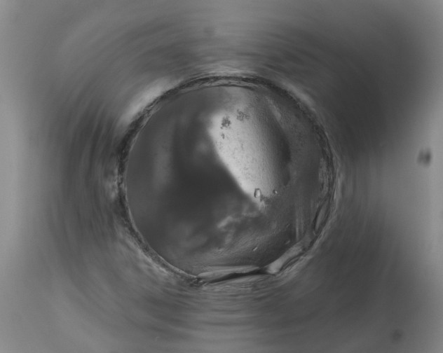 X0000113081306200909110954