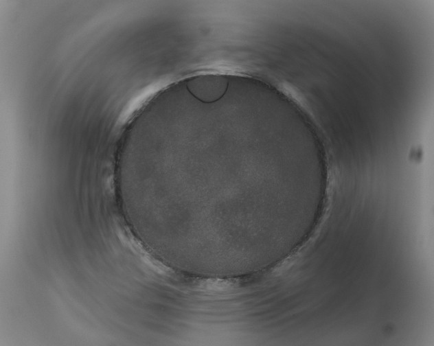 X0000113081307200909110954