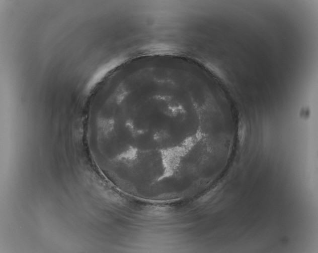 X0000113081309200909110954