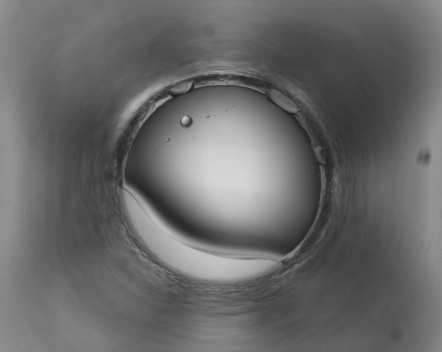 X0000113081310200909110954