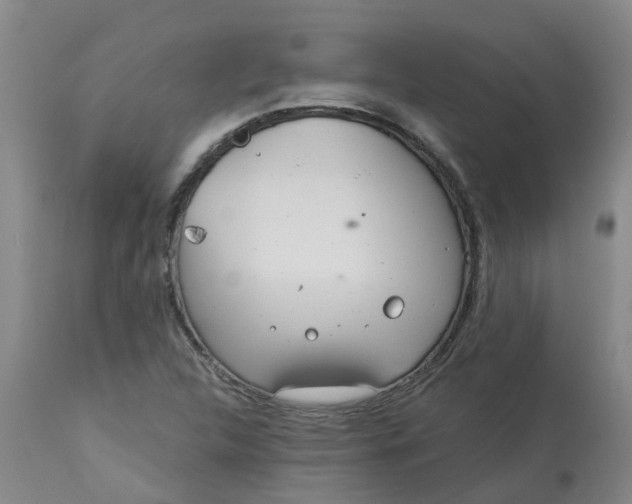 X0000113081312200909110954