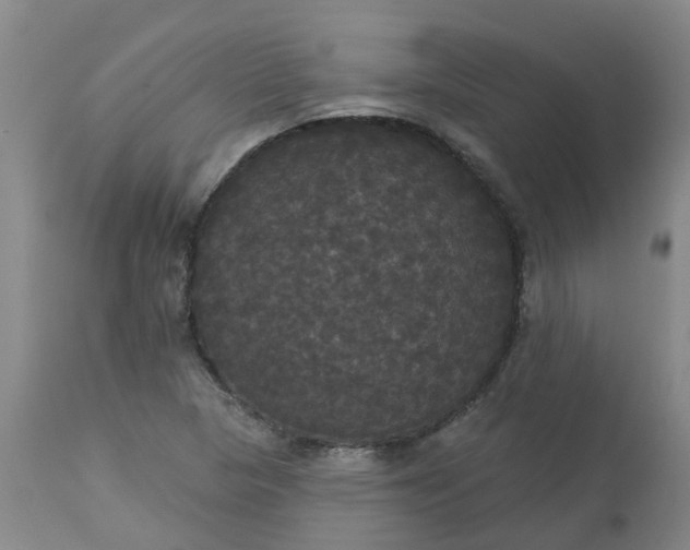 X0000113081313200909110954