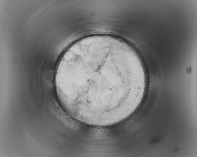 X0000113081314200909110954