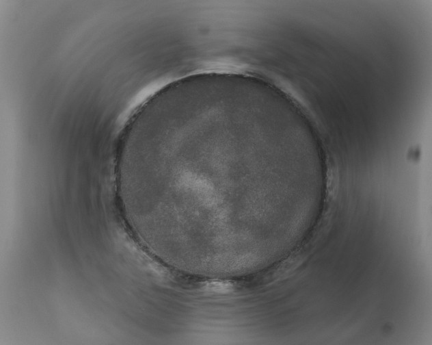 X0000113081315200909110954