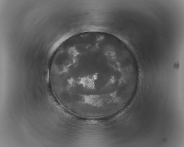 X0000113081317200909110954