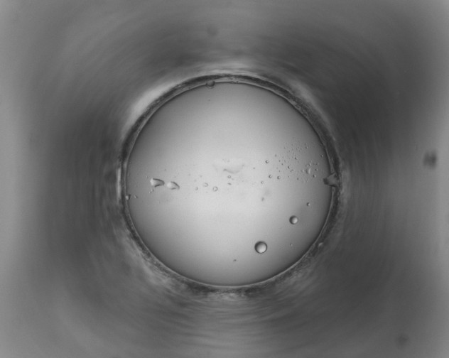 X0000113081320200909110954