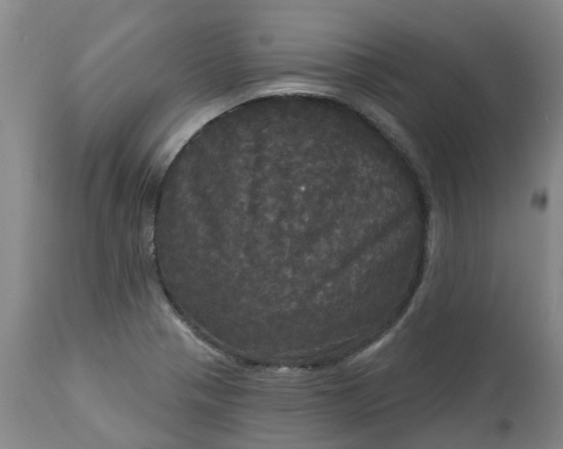 X0000113081321200909110954