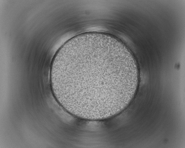 X0000113081322200909110954