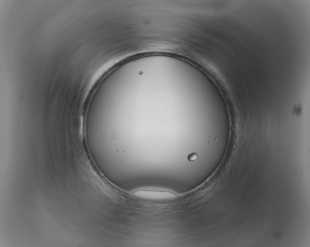 X0000113081324200909110954