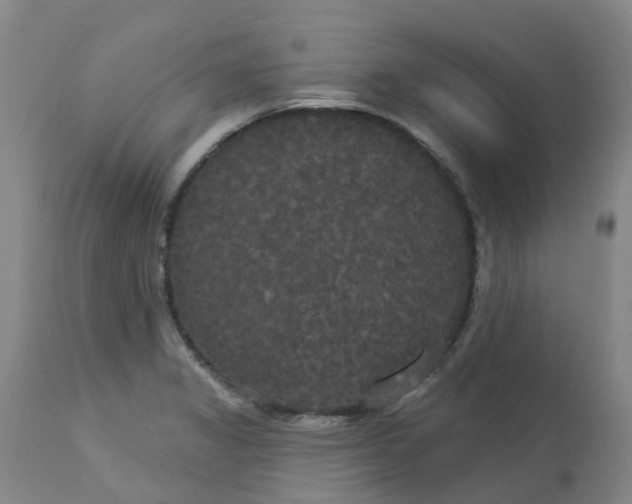 X0000113081325200909110954