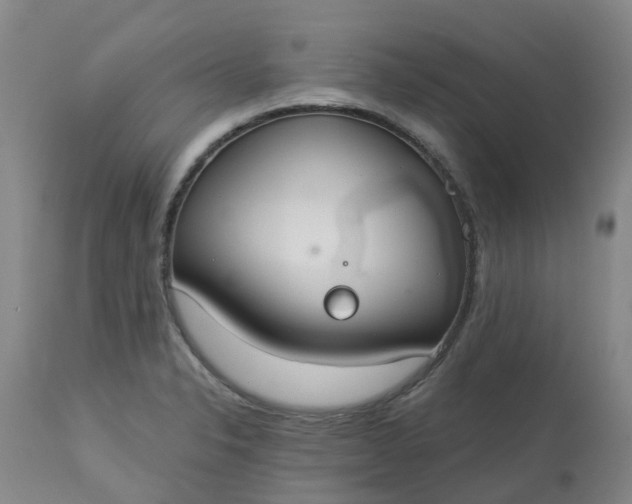 X0000113081326200909110954