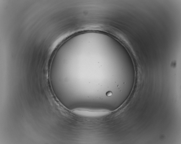 X0000113081328200909110954