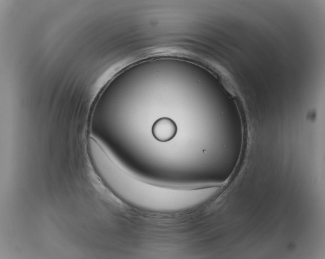 X0000113081330200909110954