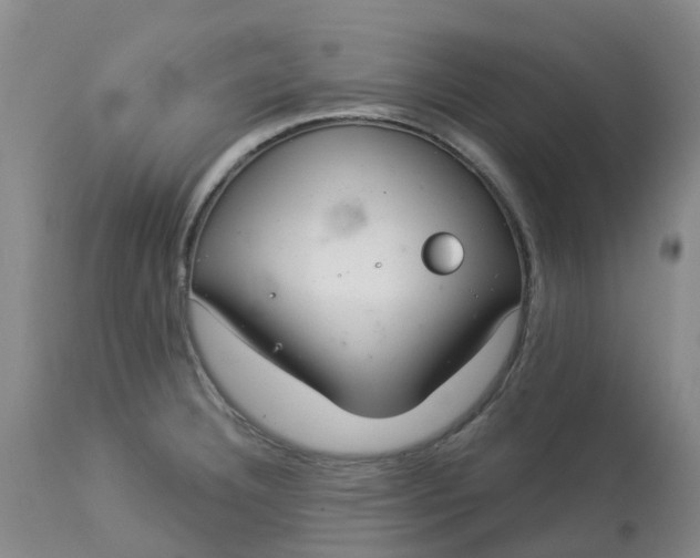 X0000113081332200909110954