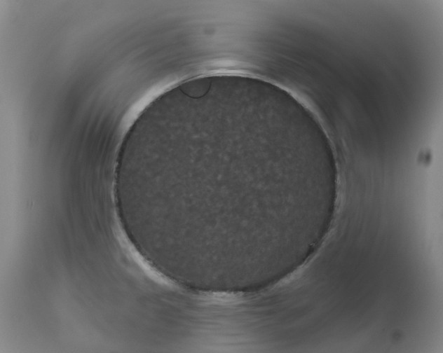 X0000113081333200909110954