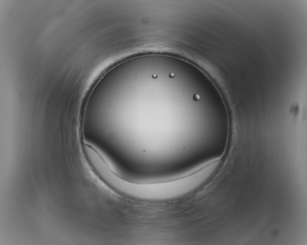 X0000113081334200909110954