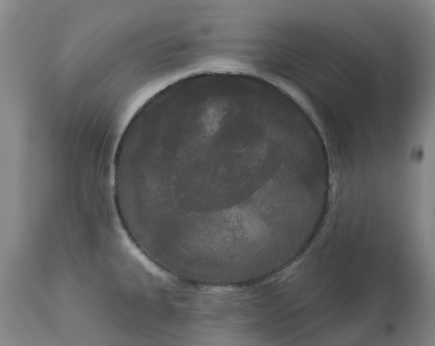 X0000113081335200909110955