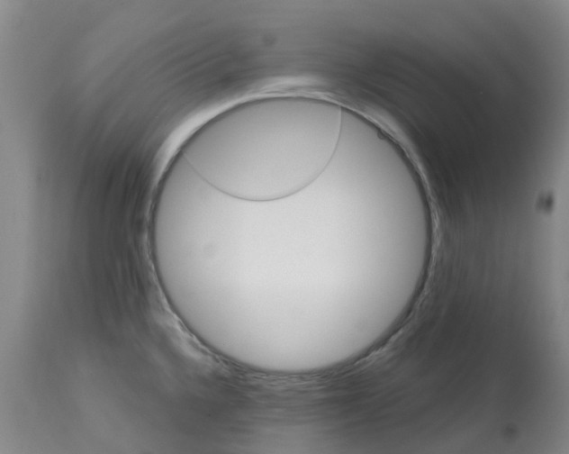 X0000113081336200909110955