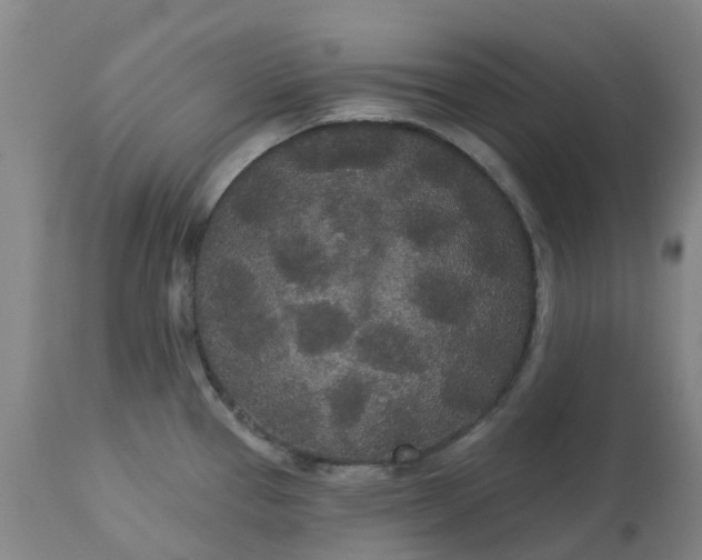 X0000113081337200909110955