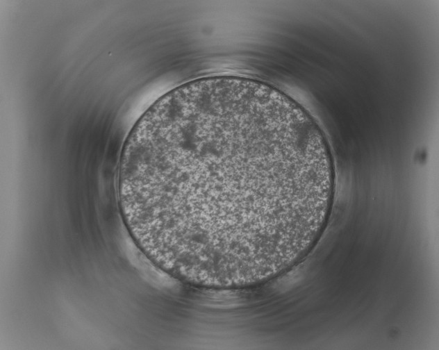 X0000113081338200909110955