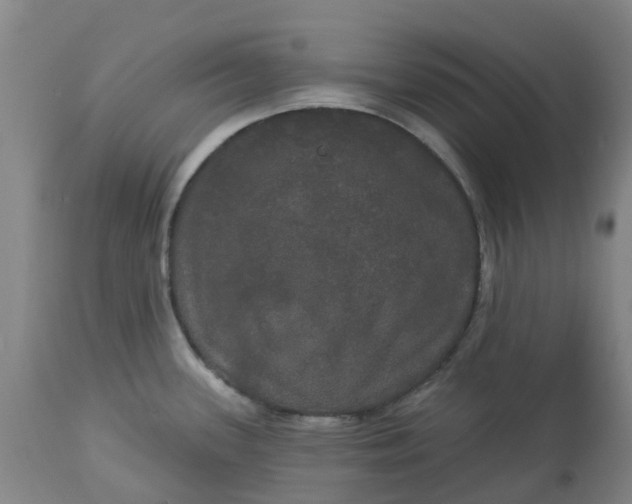 X0000113081339200909110955